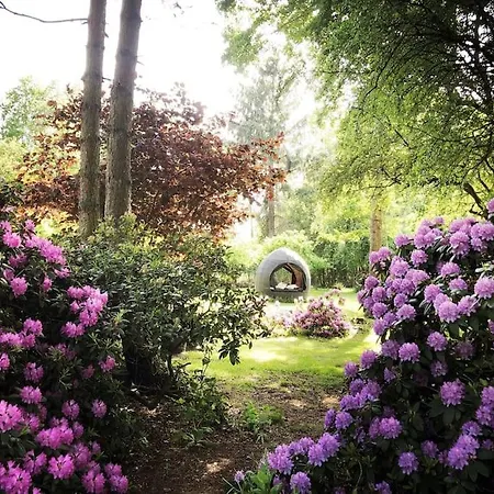 Casa Angres - Lueneburger Heide * Koenigsmoor