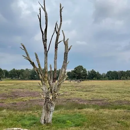 Casa Angres - Lueneburger Heide * Koenigsmoor