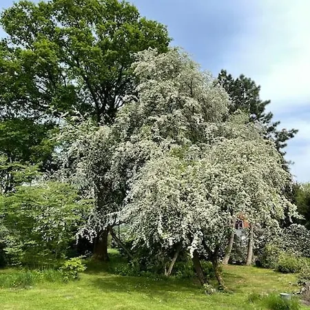 Casa Angres - Lueneburger Heide Lejlighed